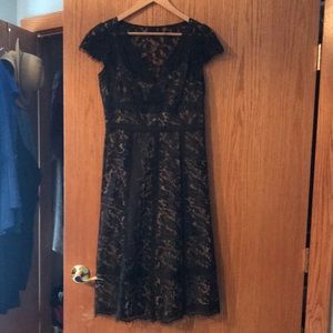 Ann Taylor Loft beautiful lace dress